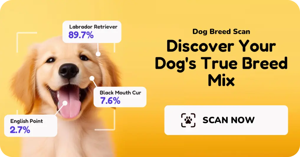 Dog Breed Scanner App Screenshot - AI Dog Breed Identification Interface